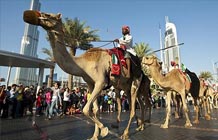 Festivals of Dubai