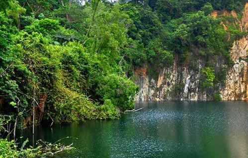 Bukit Timah Nature Reserve Park